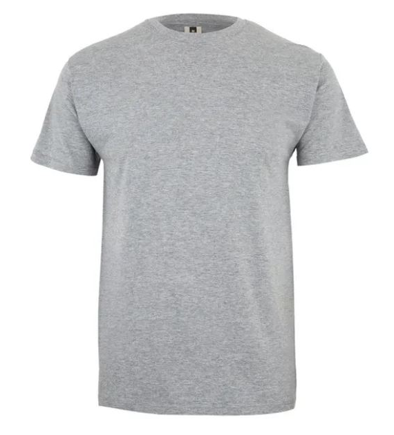 Koszulka T-shirt PALM w kolorze jasno szarym
