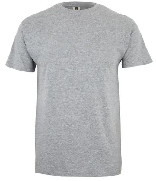 Koszulka T-shirt PALM w kolorze szarym