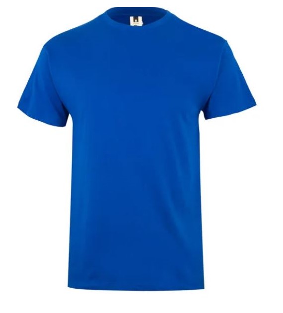 Koszulka T-shirt PALM w kolorze niebieskim