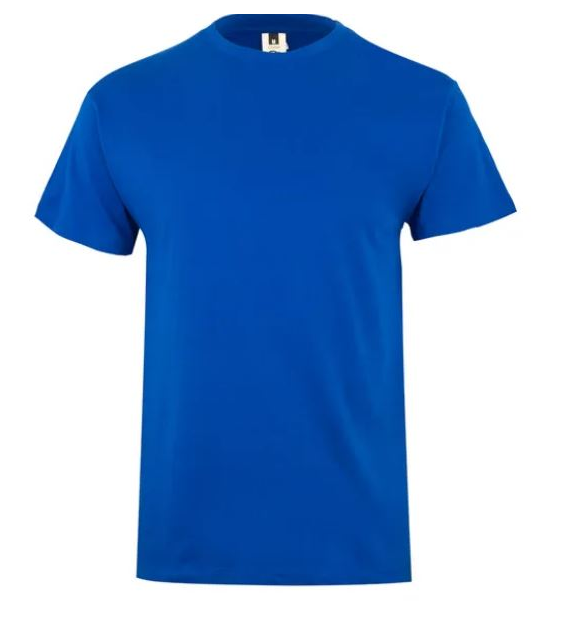 Koszulka T-shirt PALM w kolorze niebieskim