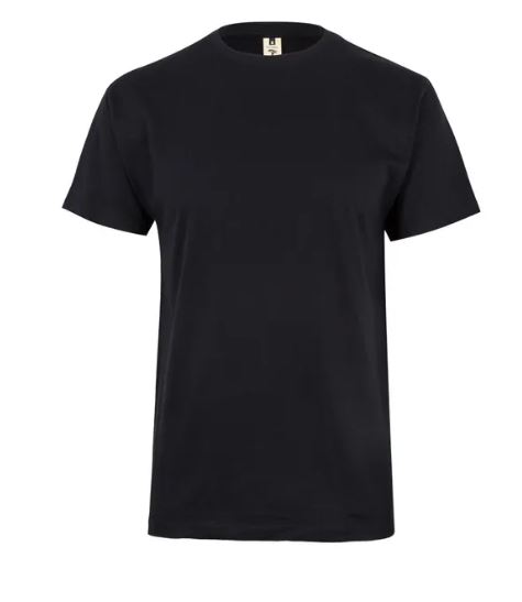 Koszulka T-shirt PALM w kolorze czarnym
