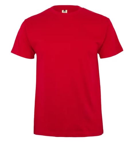 Koszulka T-shirt PALM w kolorze czerwonym
