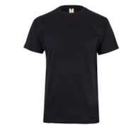 Koszulka T-shirt PALM w kolorze czarnym