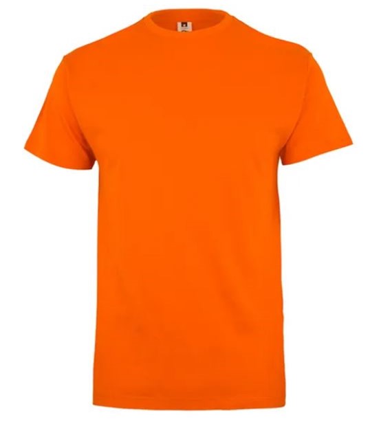 Koszulka T-shirt PALM w kolorze pomarańczowym
