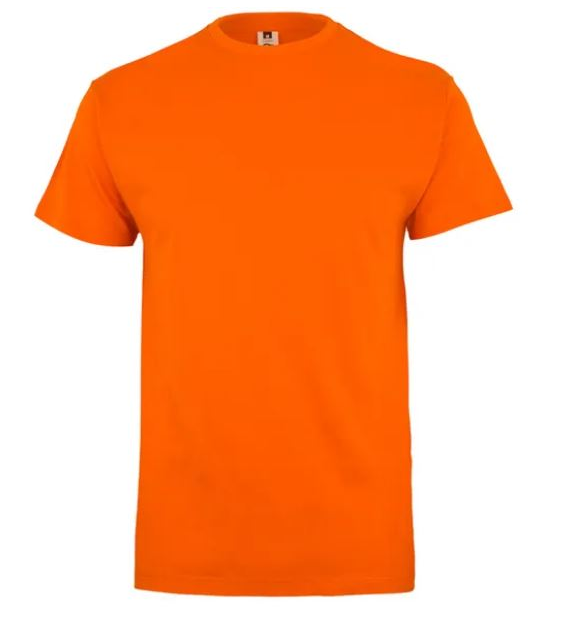 Koszulka T-shirt PALM w kolorze pomarańczowym