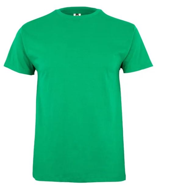 Koszulka T-shirt PALM w kolorze zielonym