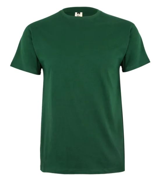 Koszulka T-shirt PALM w kolorze butelkowej zieleni