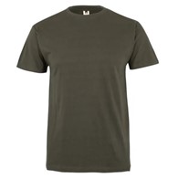 Koszulka T-shirt PALM w kolorze khaki