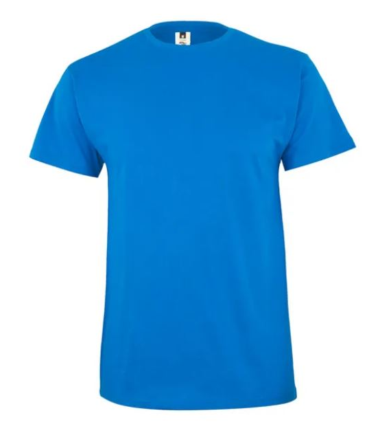 Koszulka T-shirt PALM w kolorze jasno niebieskim