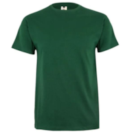 Koszulka T-shirt PALM w kolorze butelkowej zieleni