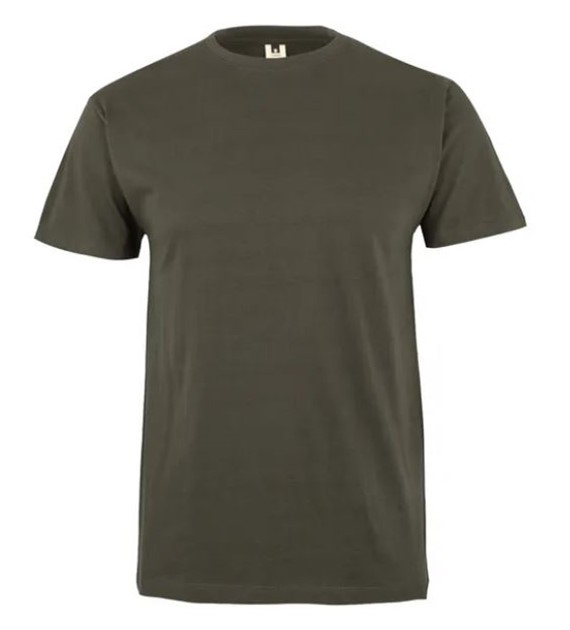 Koszulka T-shirt PALM w kolorze khaki