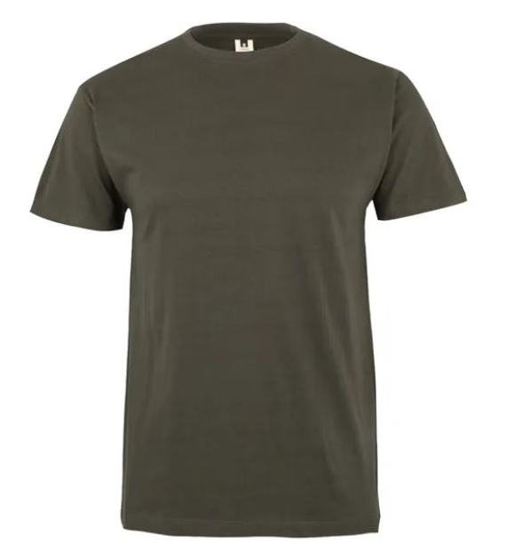 Koszulka T-shirt PALM w kolorze khaki