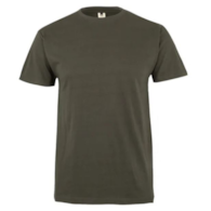 Koszulka T-shirt PALM w kolorze khaki