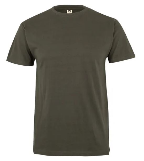 Koszulka T-shirt PALM w kolorze khaki
