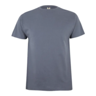 Koszulka T-shirt PALM w kolorze szarym