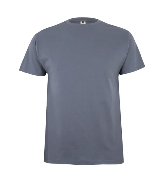 Koszulka T-shirt PALM w kolorze szarym