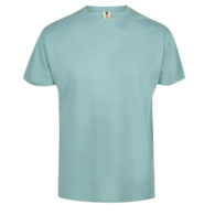 Koszulka T-shirt PALM w kolorze miętowym
