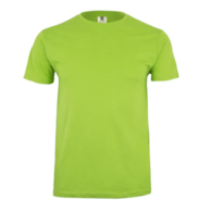 Koszulka T-shirt PALM w kolorze limonkowym