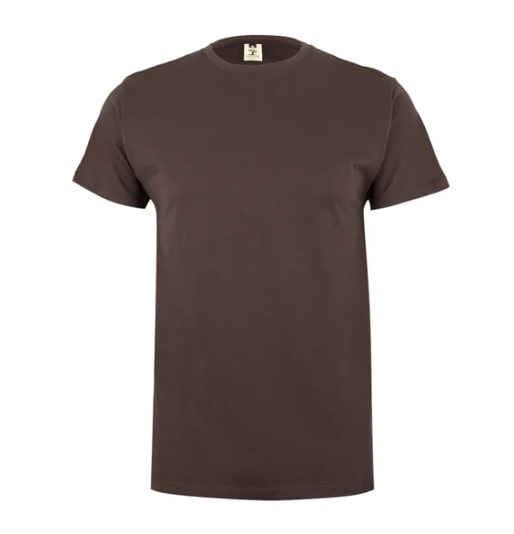 Koszulka T-shirt PALM w kolorze brązowym