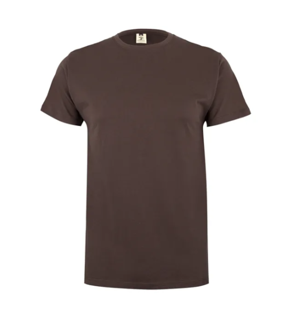 Koszulka T-shirt PALM w kolorze brązowym