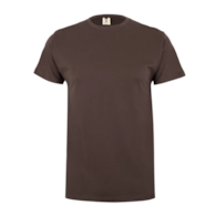 Koszulka T-shirt PALM w kolorze brązowym