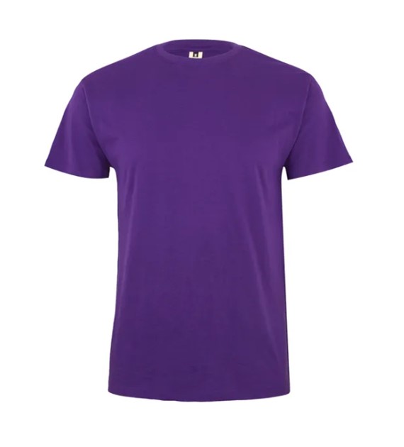 Koszulka T-shirt PALM w kolorze fioletowym