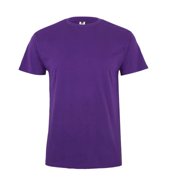 Koszulka T-shirt PALM w kolorze fioletowym