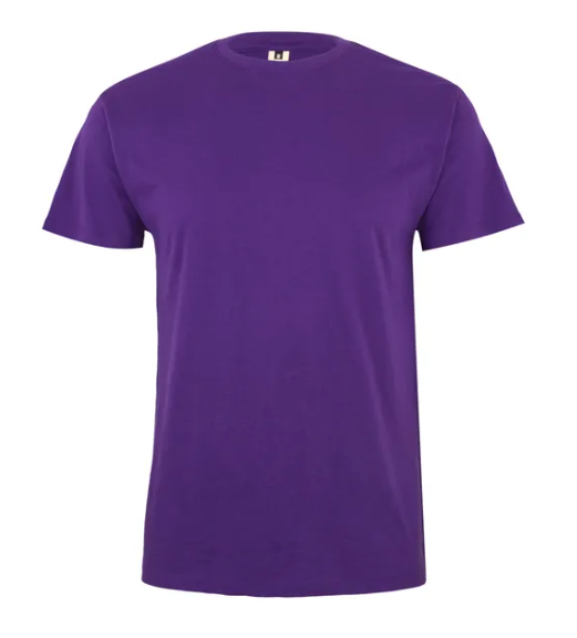 Koszulka T-shirt PALM w kolorze fioletowym