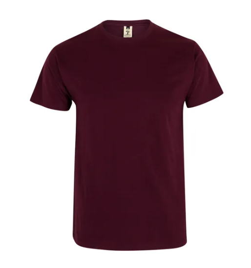 Koszulka T-shirt PALM w kolorze bordowym