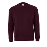Bluza AVALON w kolorze wina