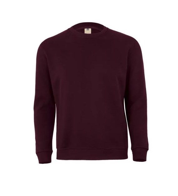 Bluza AVALON w kolorze wina