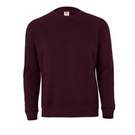 Bluza AVALON w kolorze wina