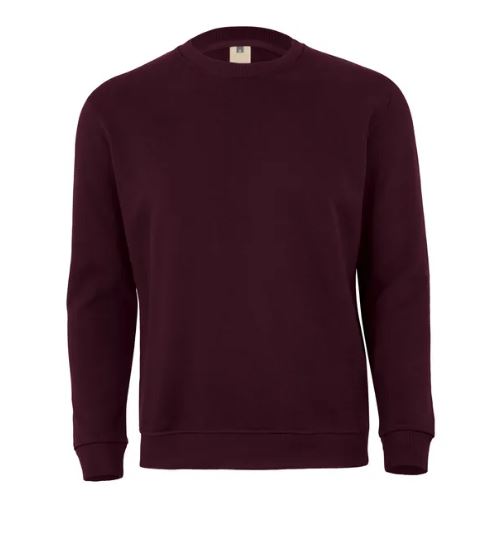 Bluza AVALON w kolorze wina