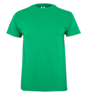 Koszulka T-shirt PALM w kolorze zielonym