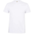 Koszulka T-shirt PALM w kolorze białym