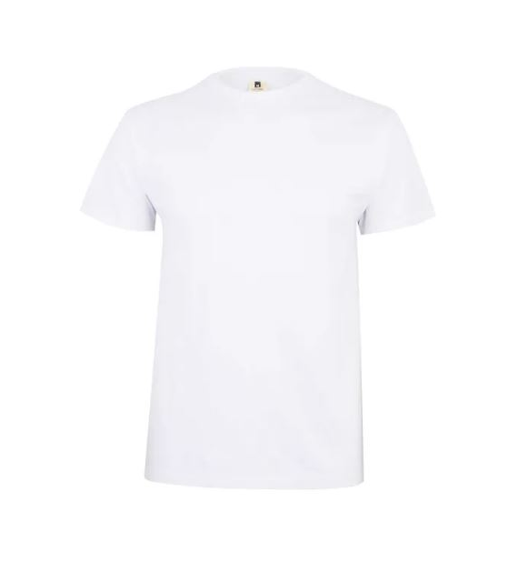 Koszulka T-shirt PALM w kolorze białym